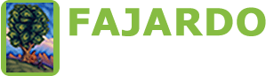 Plant City Accountant - CPA